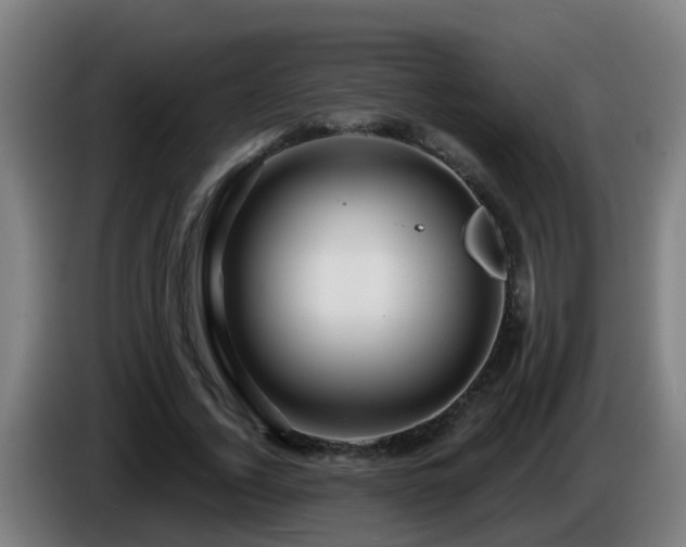 X0000086100732200703301214