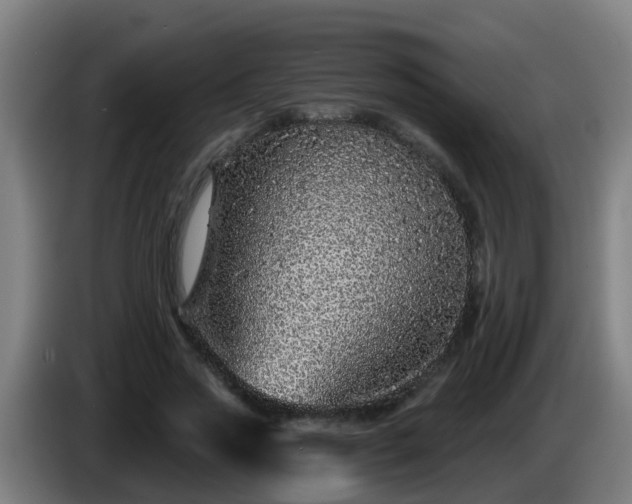 X0000086100733200703301214