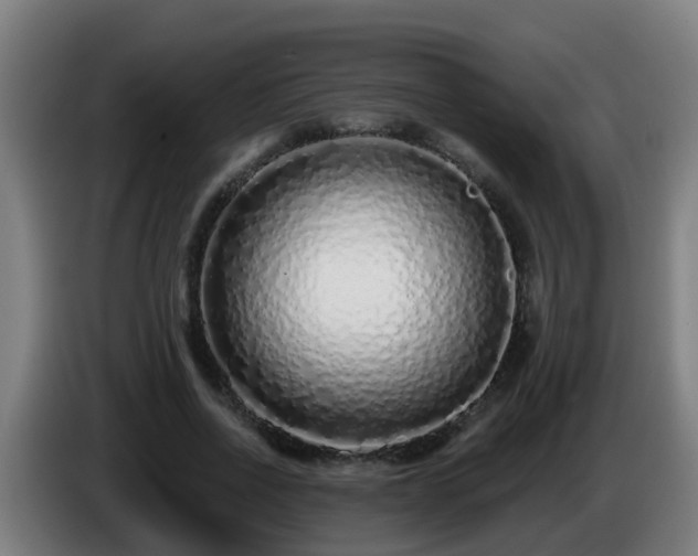 X0000086100734200703301214