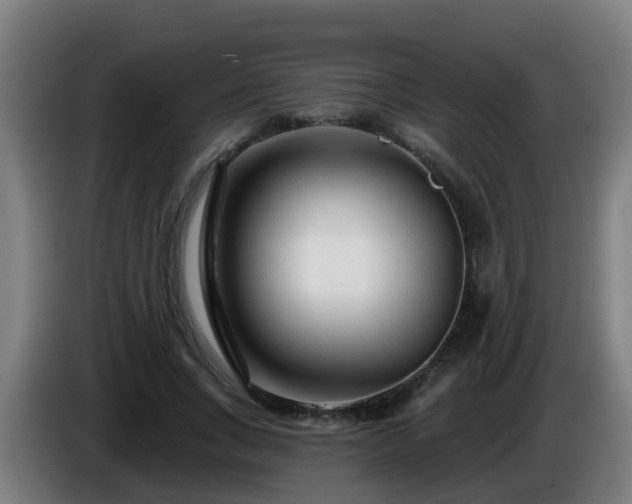 X0000086100735200703301214