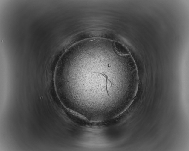 X0000086100737200703301214