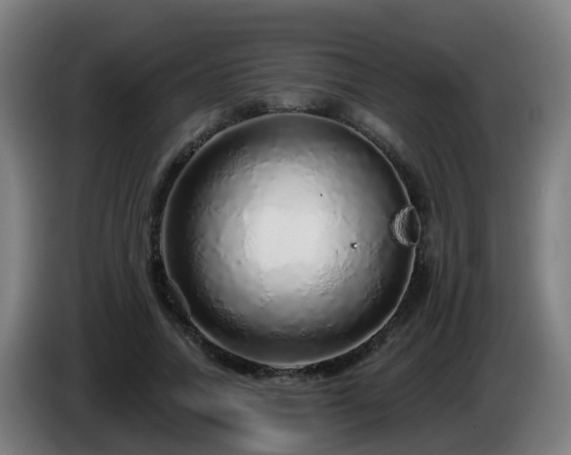 X0000086100738200703301214