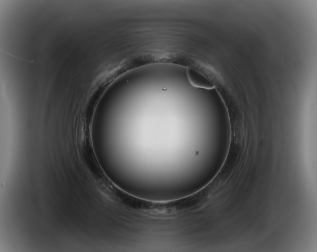X0000086100740200703301214
