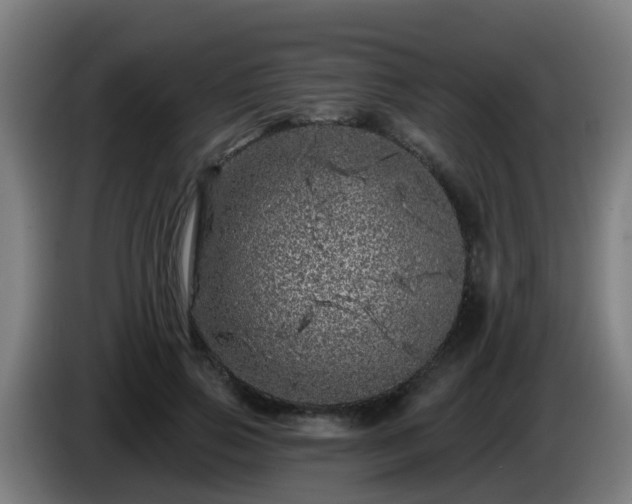 X0000086100741200703301214