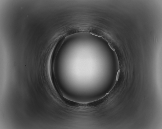 X0000086100744200703301214