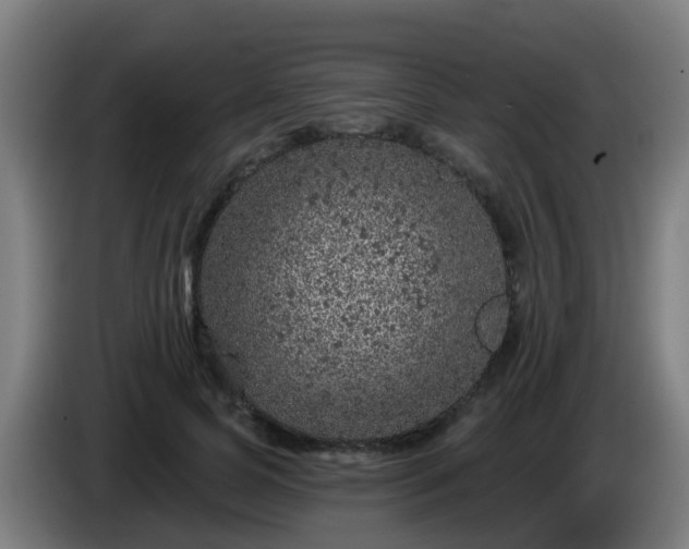 X0000086100745200703301214