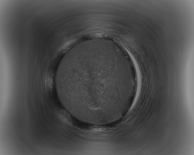 X0000086100746200703301214