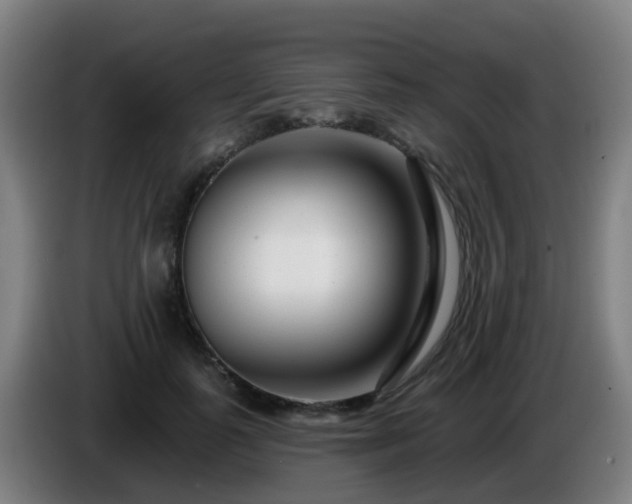 X0000086100747200703301214