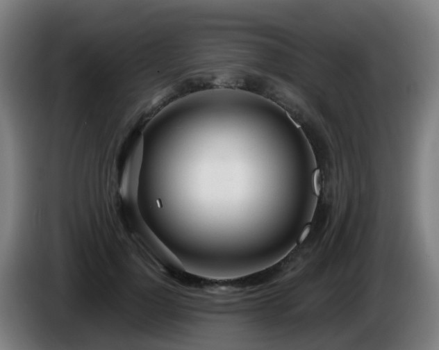 X0000086100748200703301214