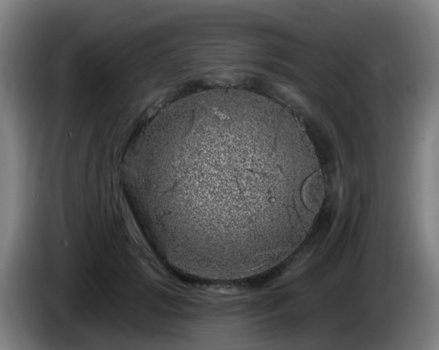 X0000086100749200703301214