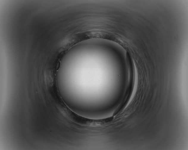 X0000086100751200703301214