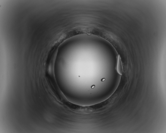X0000086100752200703301214