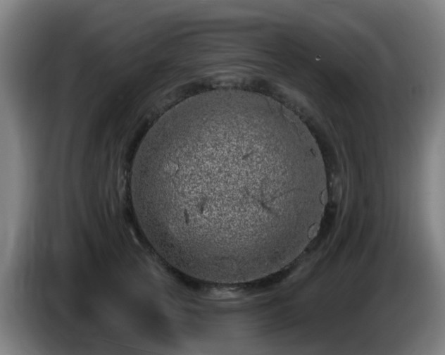 X0000086100753200703301214