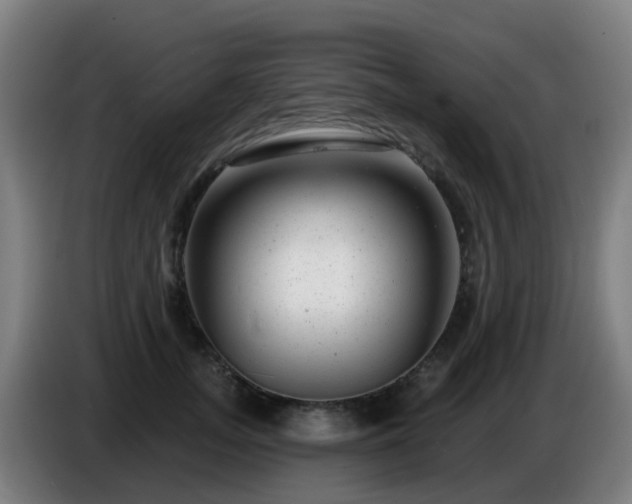 X0000086100755200703301214