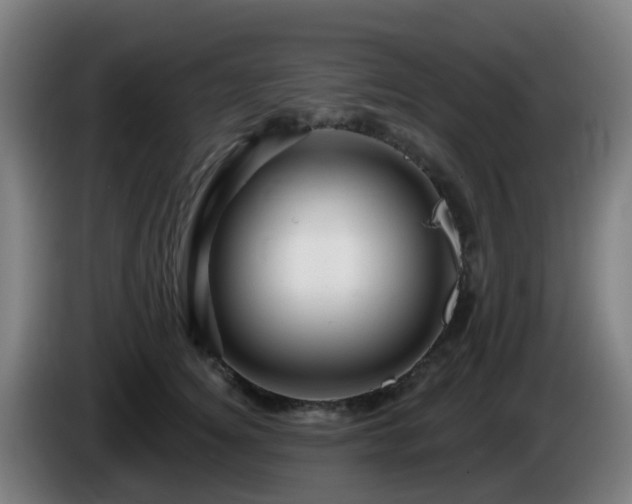 X0000086100756200703301214