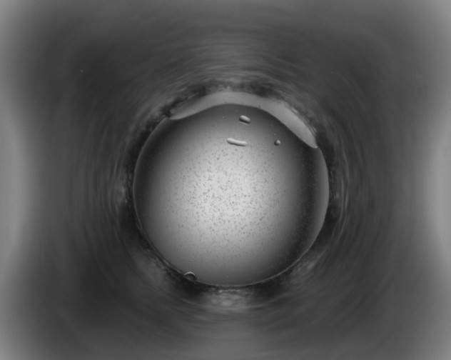X0000086100758200703301214