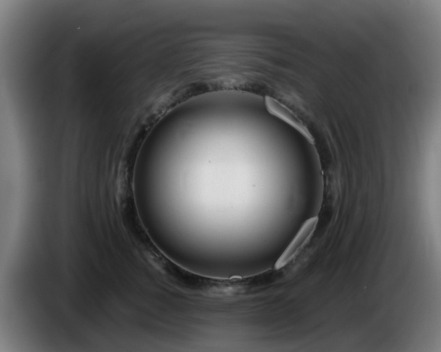 X0000086100760200703301214