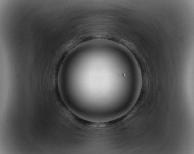 X0000086100762200703301214