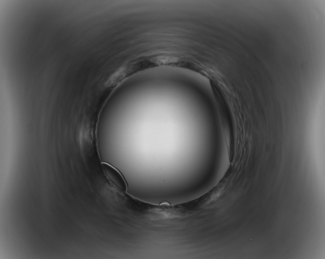 X0000086100763200703301214