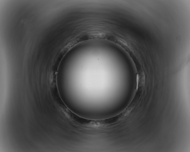 X0000086100764200703301214