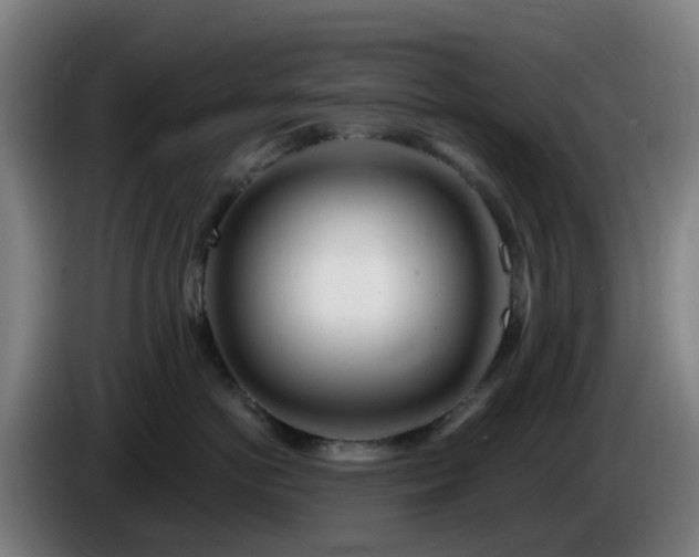 X0000086100766200703301214