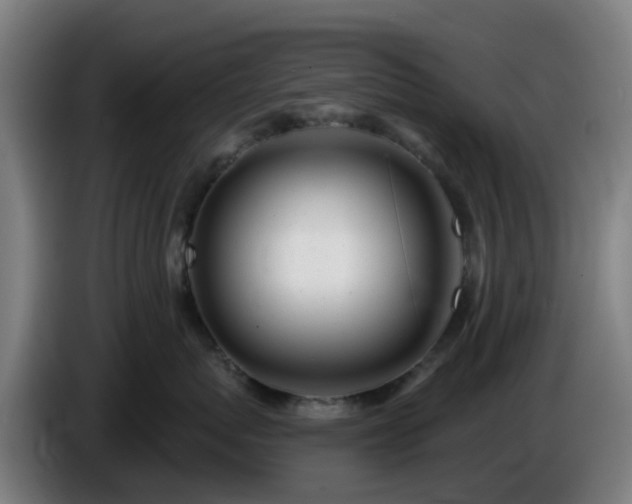 X0000086100767200703301214