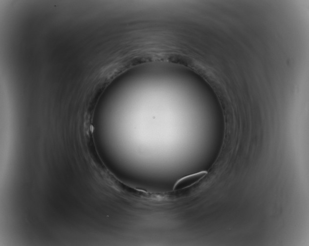 X0000086100768200703301214