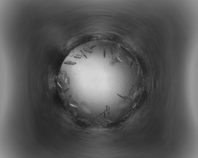 X0000086100770200703301214
