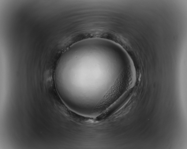 X0000086100771200703301214