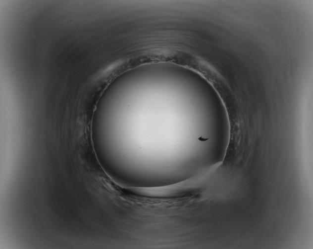 X0000086100773200703301214