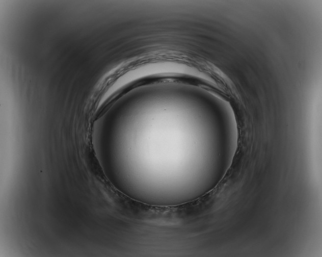 X0000086100775200703301214
