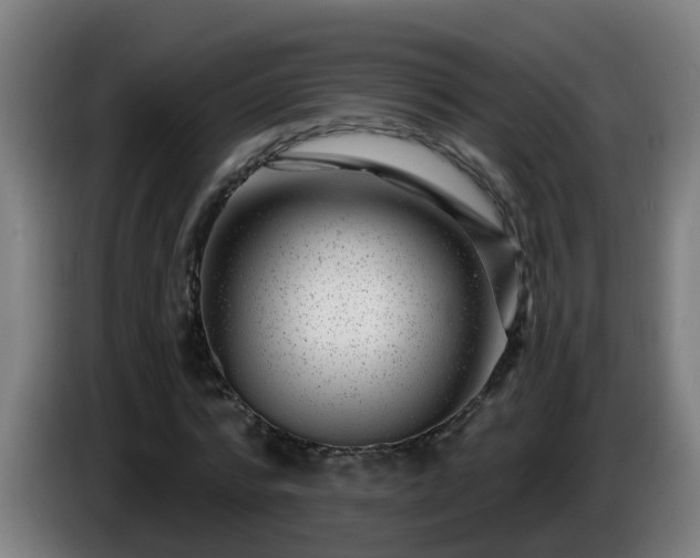 X0000086100776200703301214