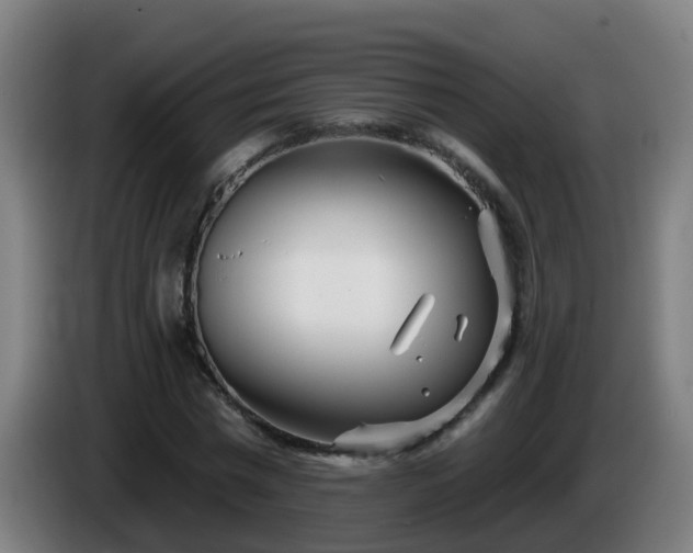 X0000086100777200703301214