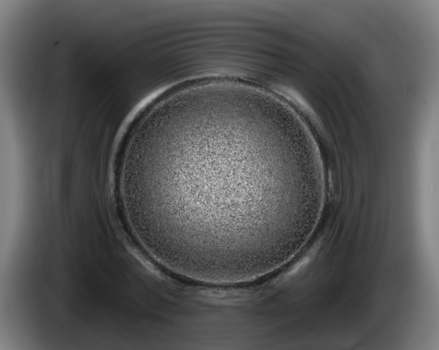 X0000086100780200703301214