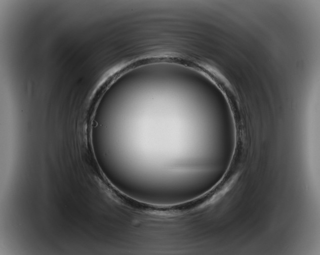 X0000086100781200703301214