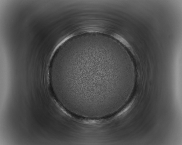 X0000086100782200703301214