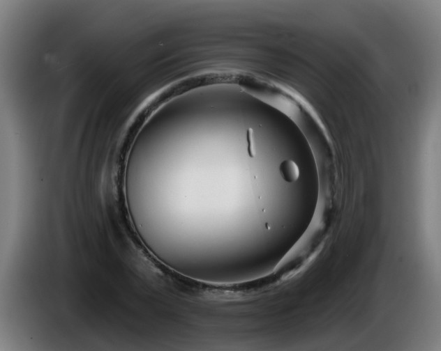 X0000086100783200703301214
