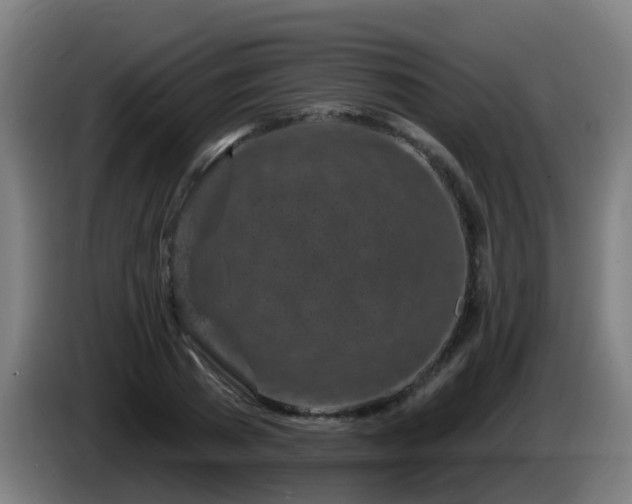 X0000086100785200703301214