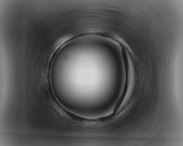 X0000086100786200703301214