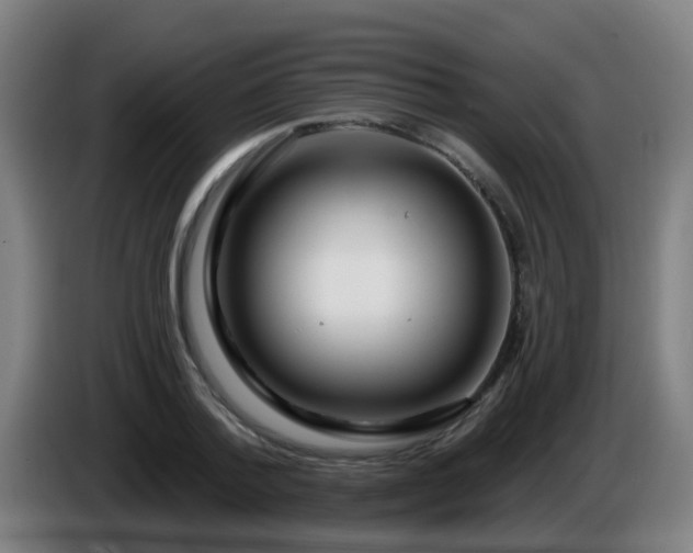 X0000086100788200703301214