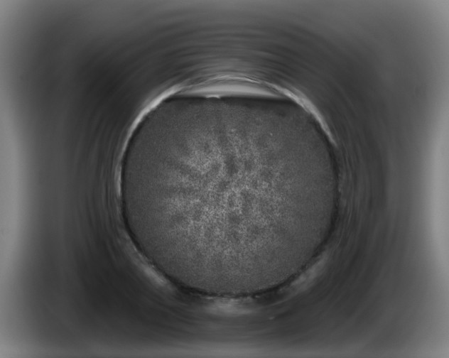 X0000086100790200703301213