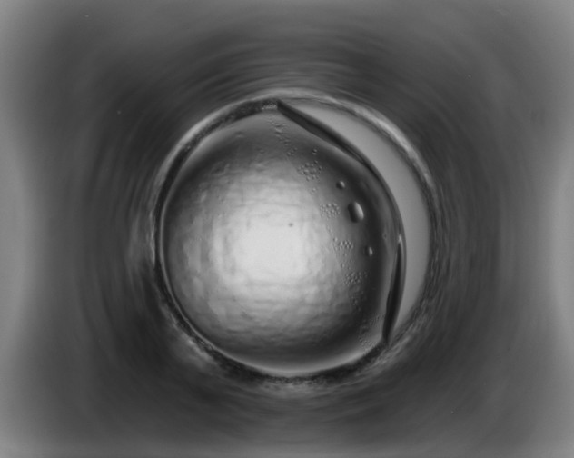 X0000086100791200703301213