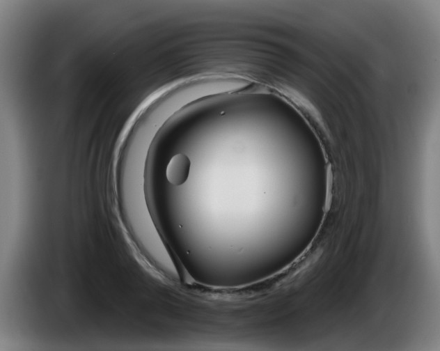 X0000086100792200703301213