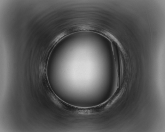 X0000086100793200703301213