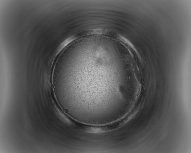 X0000086100794200703301213