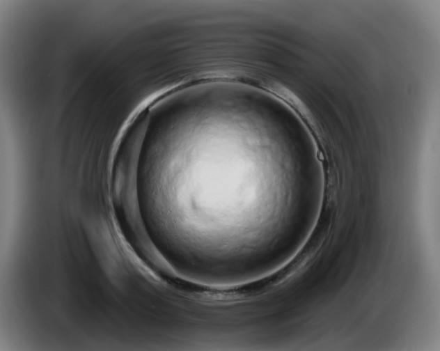 X0000086100795200703301213