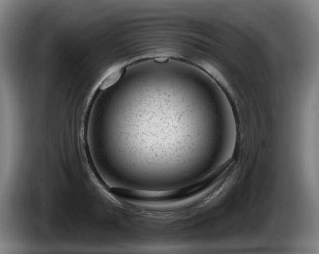 X0000086100797200703301213
