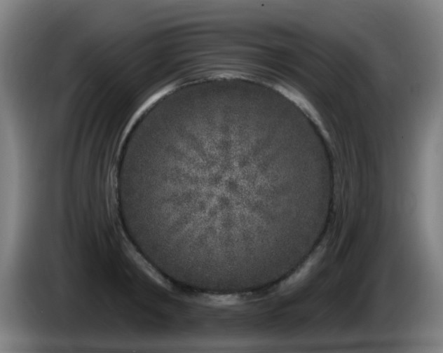 X0000086100798200703301213