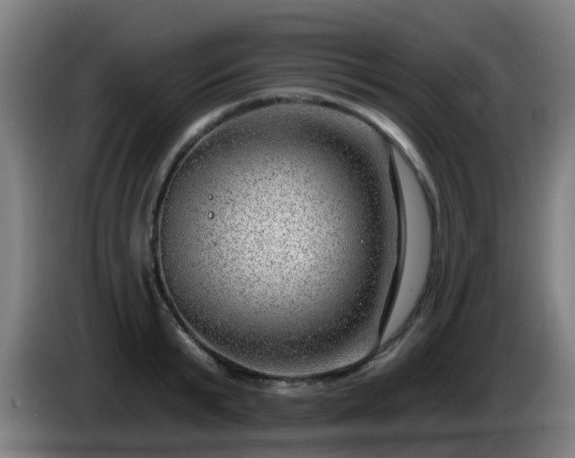 X0000086100799200703301213