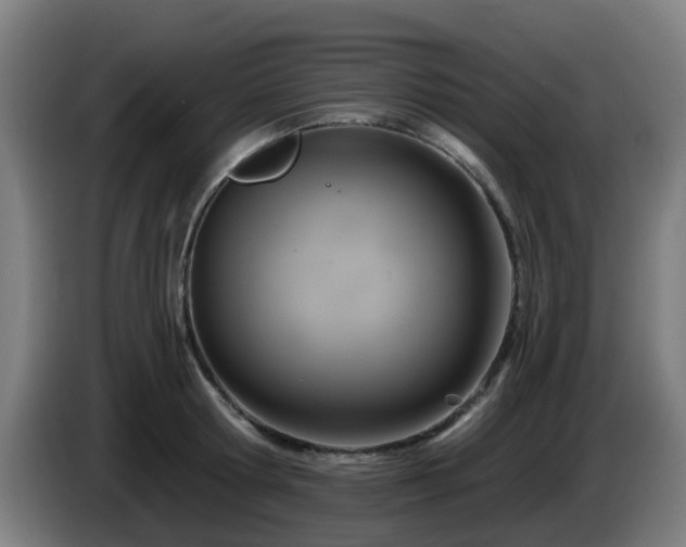 X0000086100802200703301213